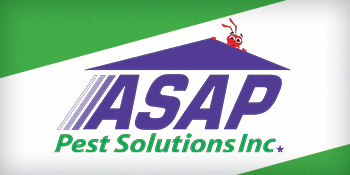 ASAP Pest Solutions, Inc. Logo