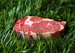 Health Benefits of Eating Grass-Fed and Pasture Raised Meats
