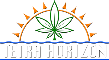Tetra Horizon Logo