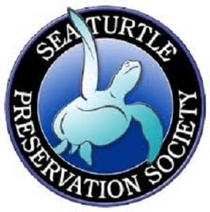 Sea Turtle Preservation Society Launches  New Marketing and Public Relations Team