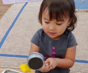 Discover Amazing Concentration in Toddlers