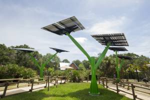 Harnessing the Power of Solar