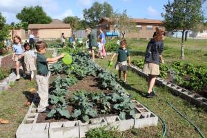 School Garden Club Sows Seeds of Knowledge 