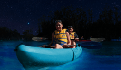 BK Adventure Connects Tens of Thousands to Brilliant Brevard Bioluminescence