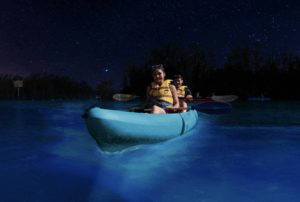 BK Adventure Connects Tens of Thousands to Brilliant Brevard Bioluminescence