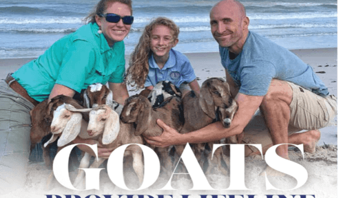 Goats Provide Lifeline Through Soaps, Comfort 
