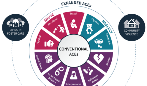 One Test You Don't Want to ACE: Adverse Childhood Experience