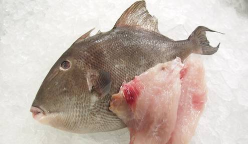 The Ultimate Guide to Underutilized Fish: Your Palate and Wallet Will Thank You