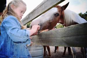 Walk on Water Equine Assisted Therapy Receives 2018 Best of Merritt Island Award